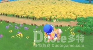摩尔庄园黑影任务完成攻略