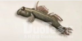 明日之后弹涂鱼获得方法