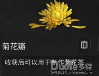 明日之后菊花茶做法