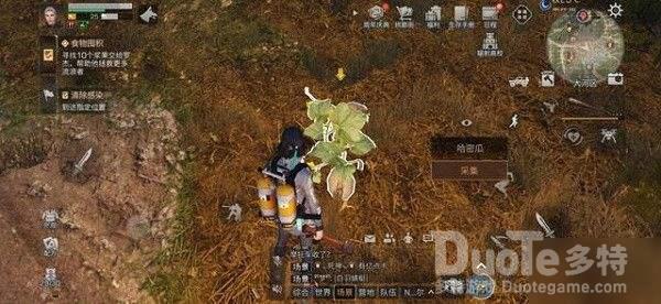 明日之后哈密瓜食谱配方