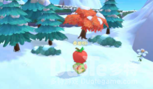 摩尔庄园彩球分布位置汇总