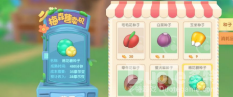 摩尔庄园玫瑰花种子获取方式