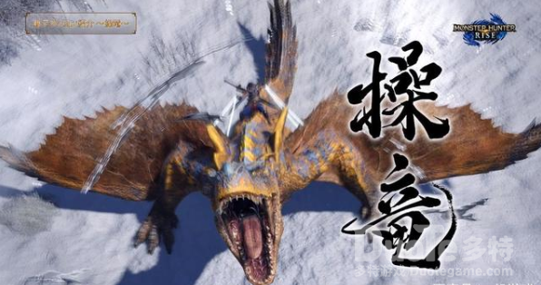 怪物猎人崛起新系统操龙用法介绍