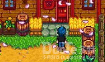 星露谷物语花和海星个数解谜一览