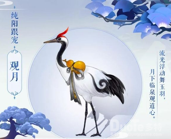 剑网3指尖江湖纯阳专属跟宠获取攻略