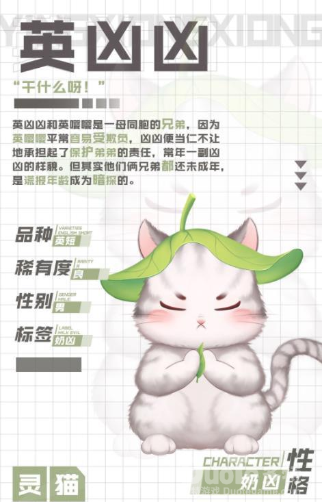 灵猫传猫咪英凶凶介绍