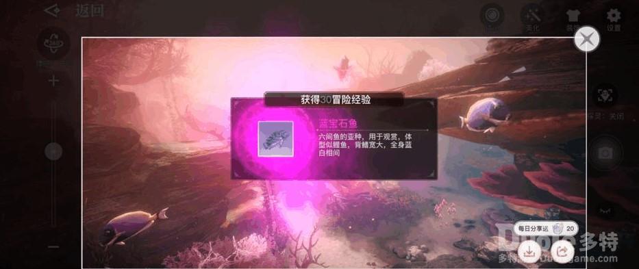 天谕手游特殊鱼类图鉴大全