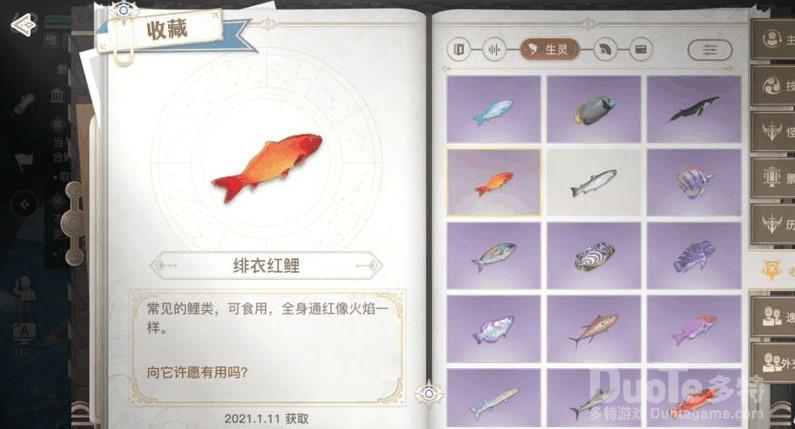 天谕手游小丑鱼任务攻略