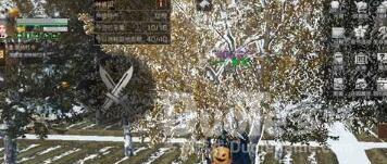 明日之后庇护城水果获取方法介绍