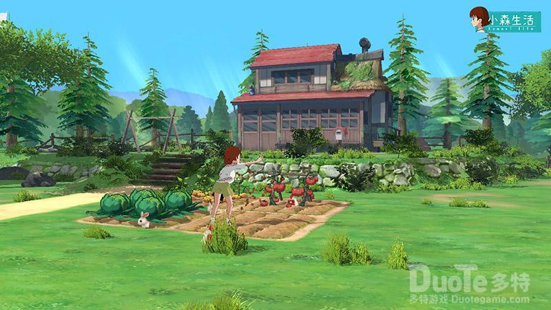 小森生活四神石像获得方式分享