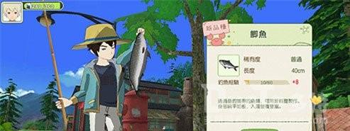 小森生活钓鱼技巧分享
