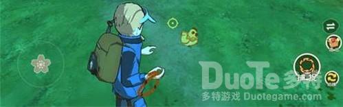 小森生活金鸡位置介绍