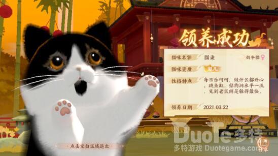忘川风华录领养奶牛猫问题答案