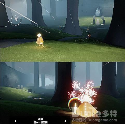 Sky光遇花憩节雨林小树苗位置介绍