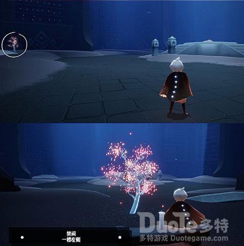 Sky光遇花憩节禁阁小树苗位置介绍