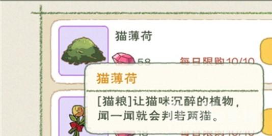 小森生活猫薄荷获得方法