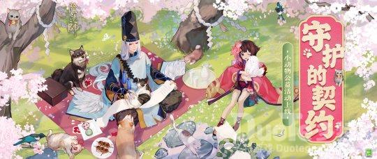 《阴阳师》流浪小动物主题召唤活动将启