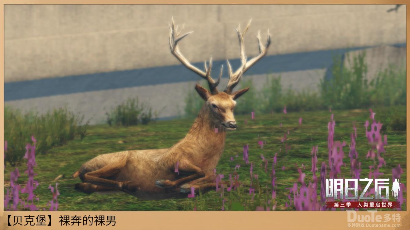 明日之后舞夜之星购买攻略