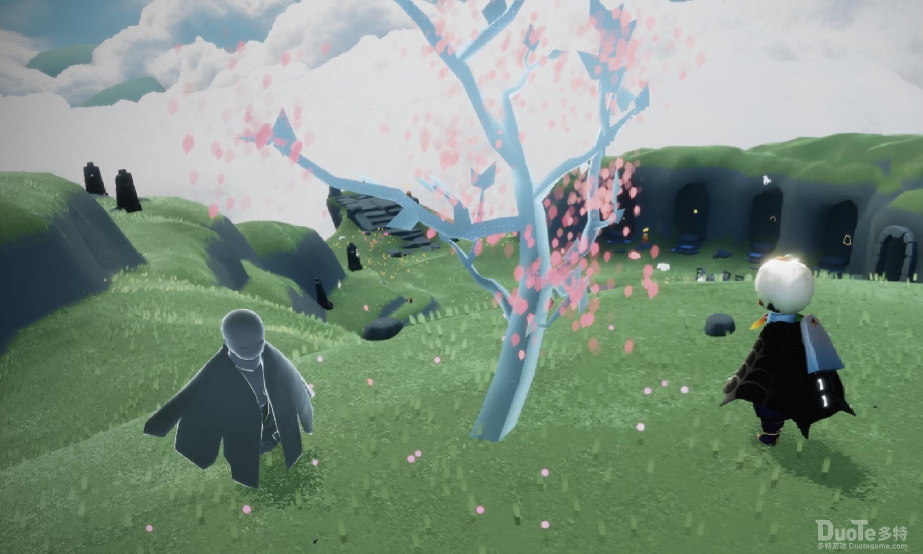 光遇樱花小树苗位置一览