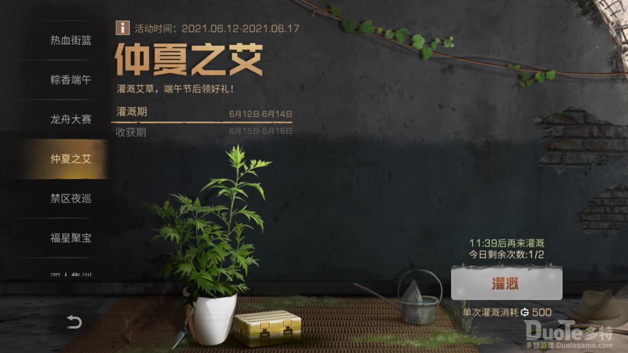 明日之后新活动仲夏之艾介绍