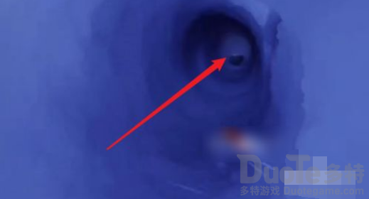 光遇小王子季观月台在哪 光遇小王子季观月台位置介绍