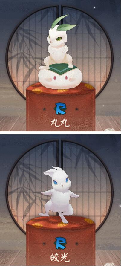 阴阳师真实之羽香道大会攻略阴阳师香道大会兔子怎么选择