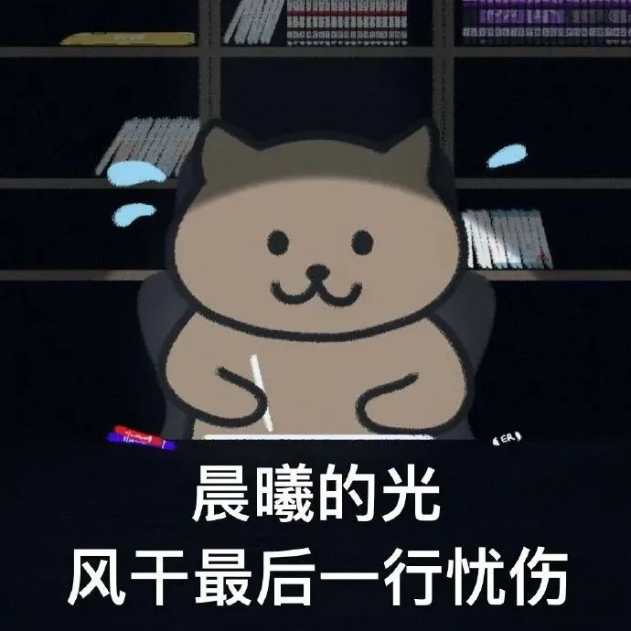 一猫人歌词表情包分享一猫人歌词表情包有哪些