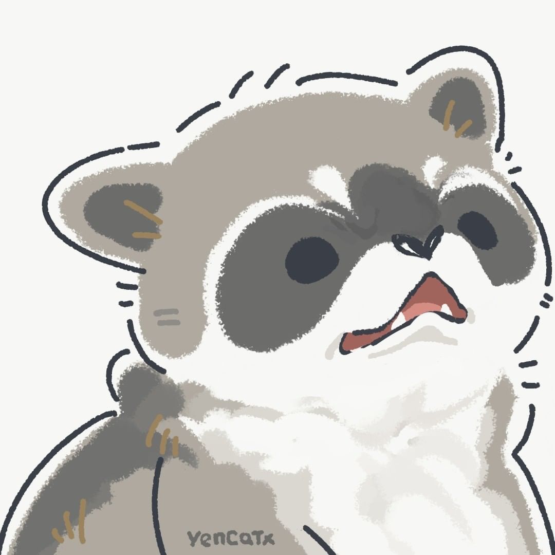 小浣熊表情包分享小浣熊表情包有哪些