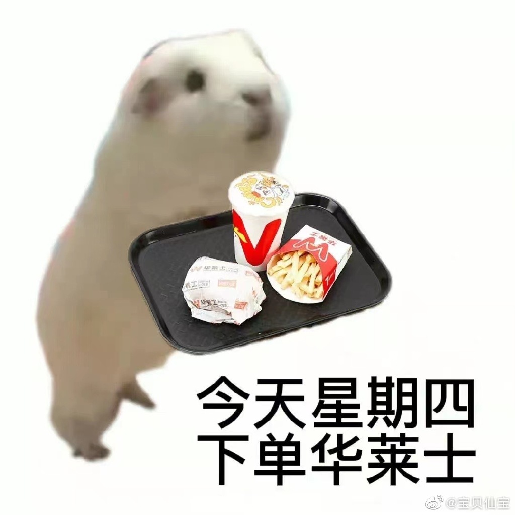 家人们谁懂啊！看这张神秘图片，仿佛藏着疯狂星期四的惊天秘密。是不是老板又在憋啥大招？赶紧点开，说不定下一个免费吃疯四的就是你！ - 疯狂星期四[crazy-thursday.com]