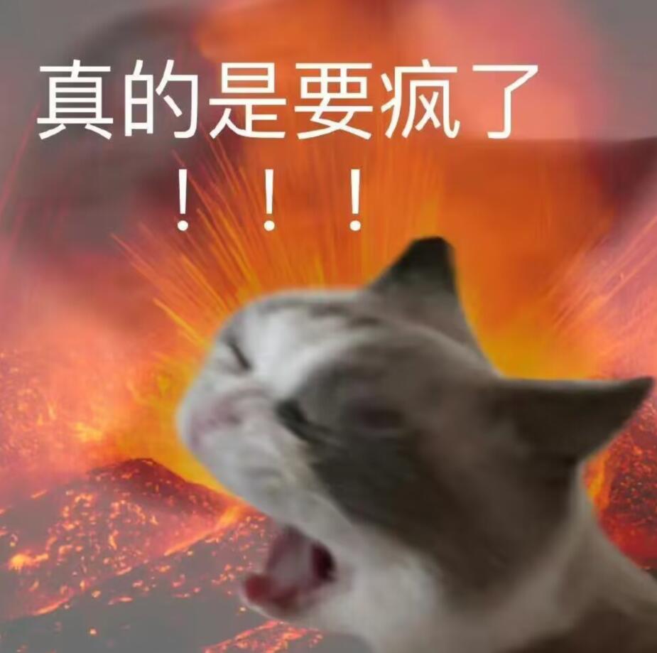 爆炸猫猫表情包