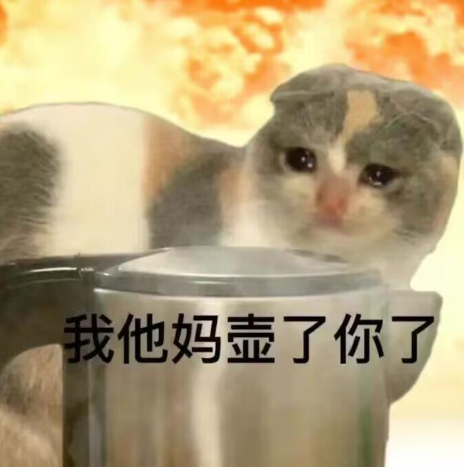 爆炸猫猫表情包