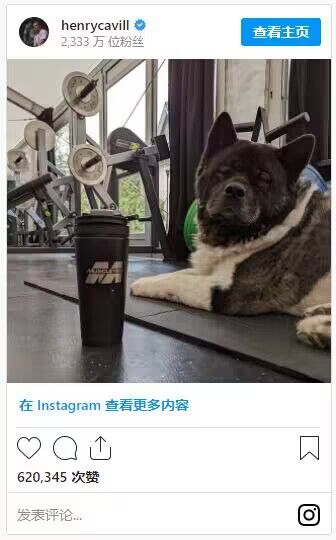 《巫师3》次世代版出现亨利卡维尔爱犬彩蛋
