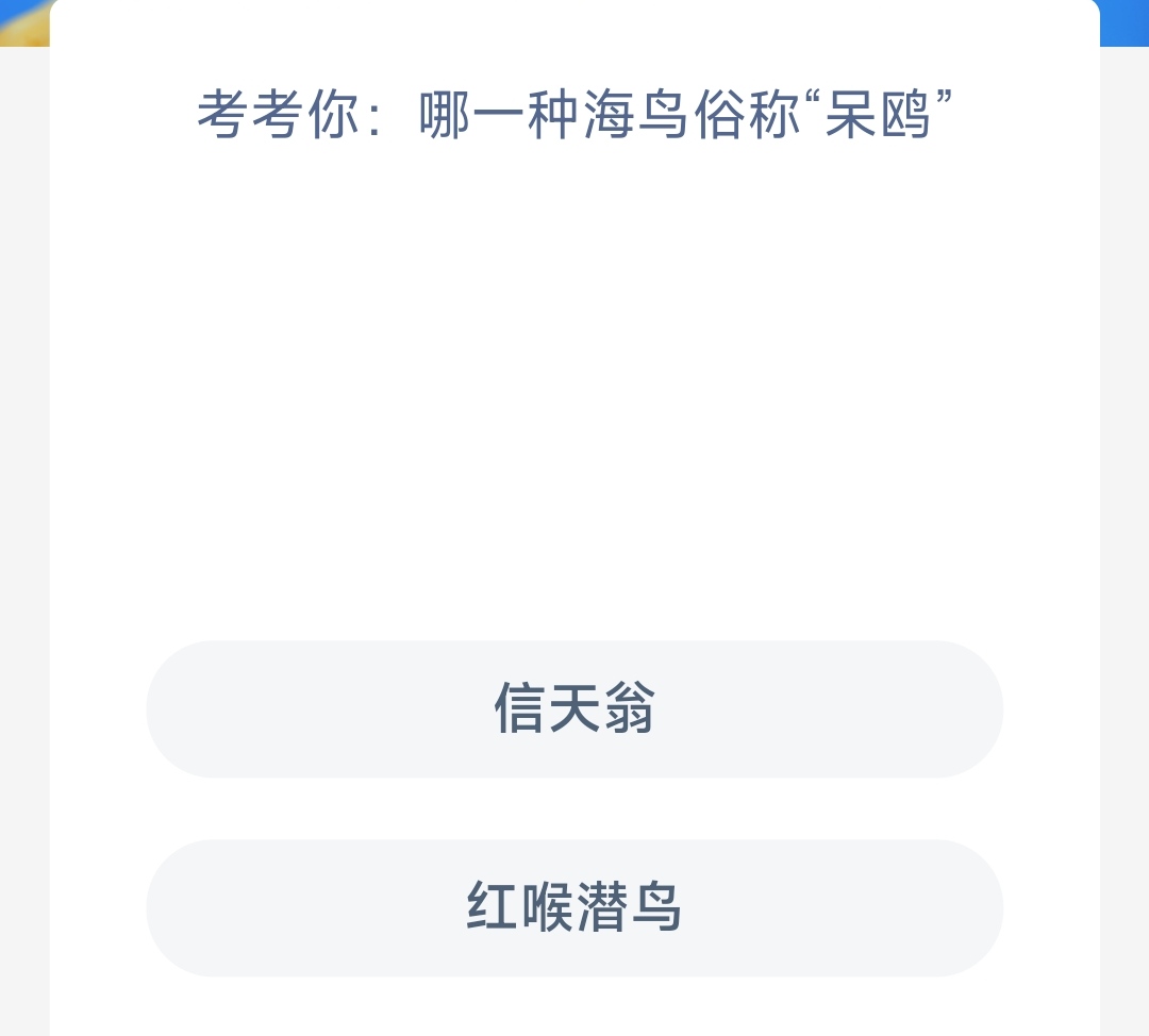 哪一种海鸟是呆鸥 神奇海洋3.14答案