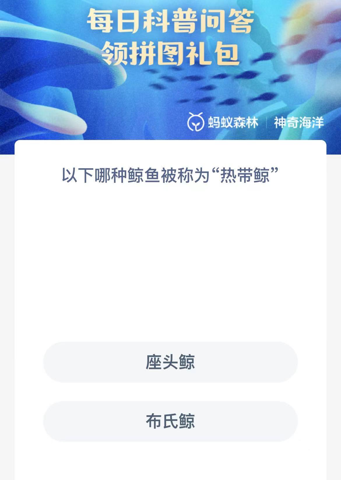 被称为热带鲸的是什么