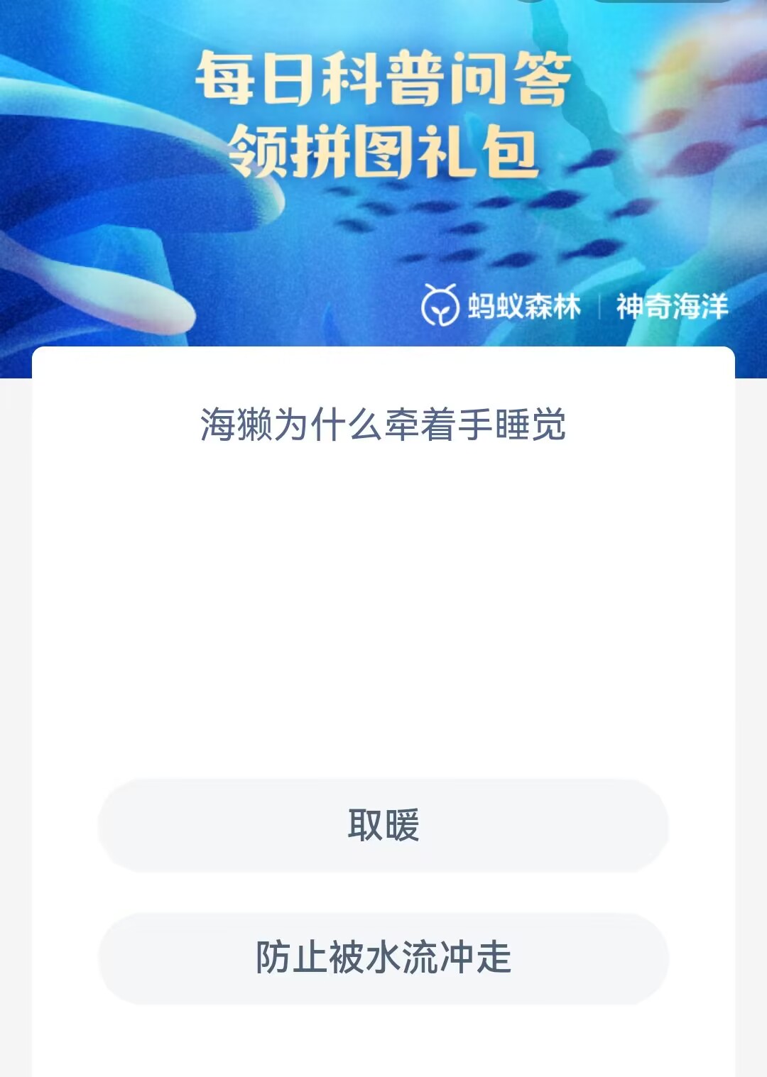 海獭为什么手牵着手睡觉 神奇海洋今日答案最新4.4