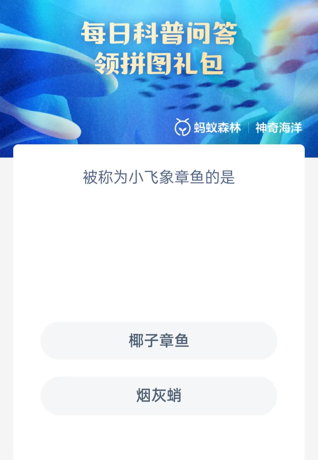 神奇海洋4月19日答案是什么 小飞象章鱼是什么动物