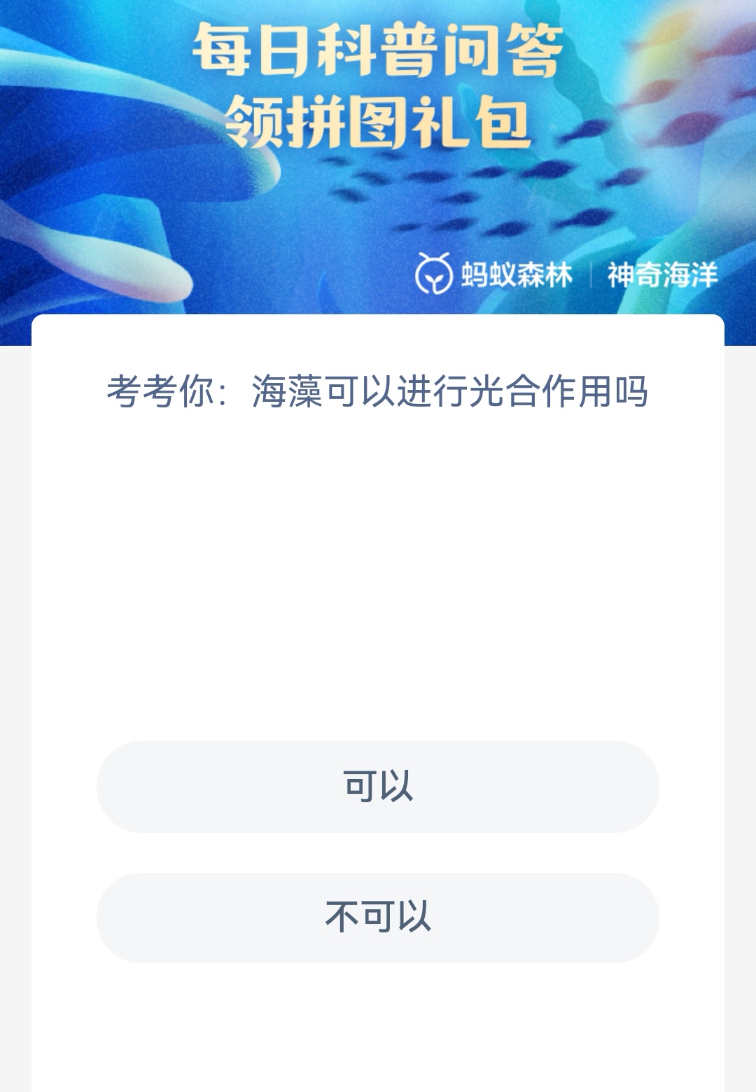 海藻可以进行光合作用吗