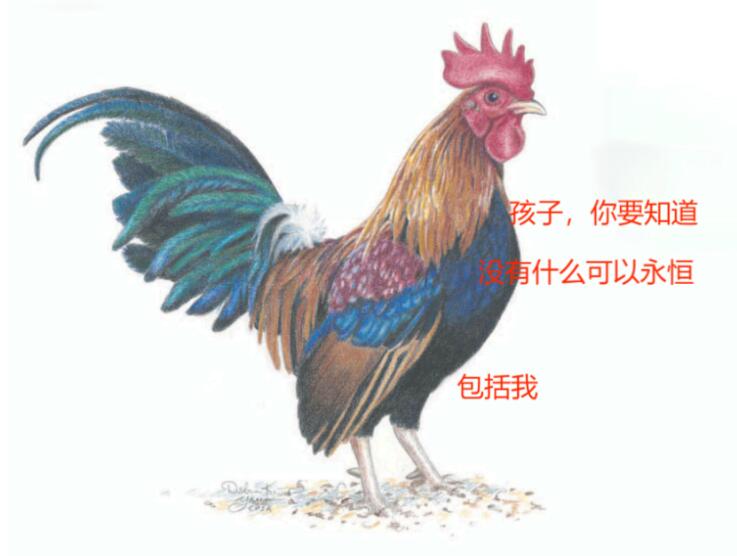 大型&ldquo;找只因脚&rdquo;活动，把跑男最新一集顶爆热搜