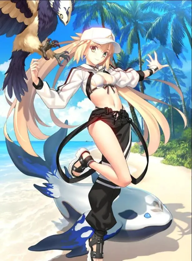 fgo日服五星狂阶泳装术呆灵基立绘一览