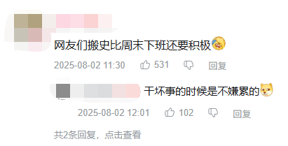 &ldquo;搬史&rdquo;的人只要继续搬就行了，而看的人要考虑的就很多了