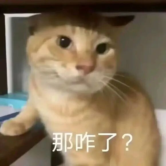 哈基米如何才能逃出&ldquo;圆哈镇&rdquo;？嘎蛋才是唯一的出路....