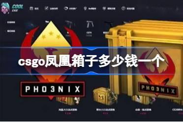 csgo凤凰箱子多少钱一个