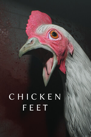 Chicken Feet免安装绿色学习版
