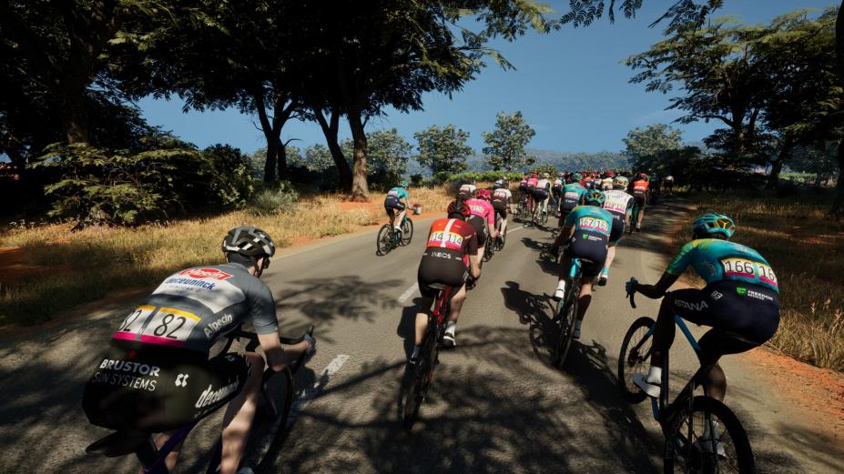 Pro Cycling Manager 25免安装绿色学习版