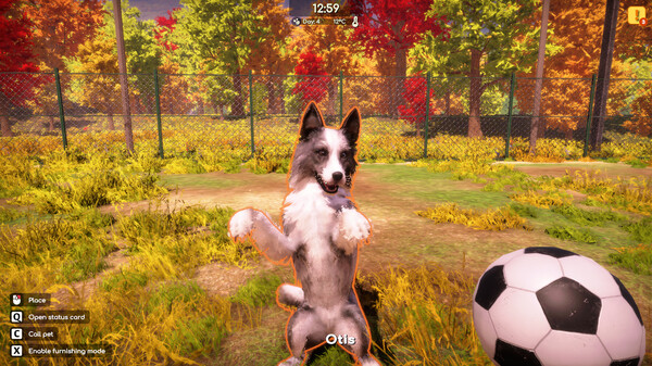 动物收容所2免安装中文学习版[整合猎犬包DLC]