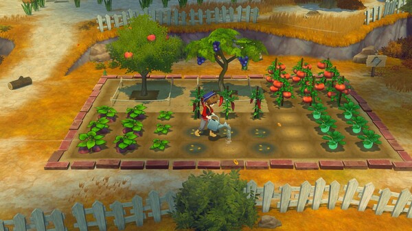 牧场物语 来吧！风之繁华集市免安装中文学习版[v1.4.0]