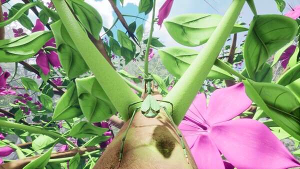 大自然与生命：沉迷花蜜免安装绿色学习版[整合孔雀跳蛛DLC]