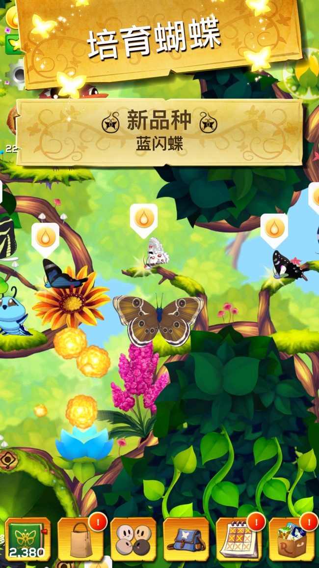 彩翼蝴蝶保护区苹果版