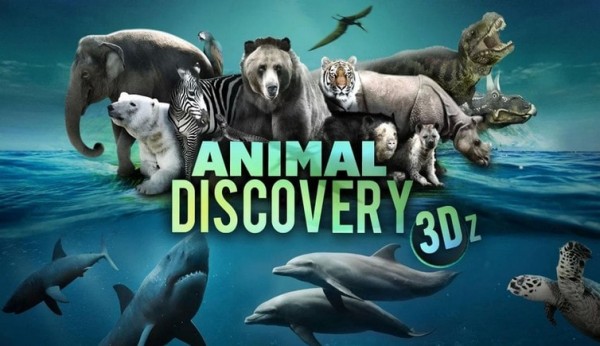 3D动物发现
