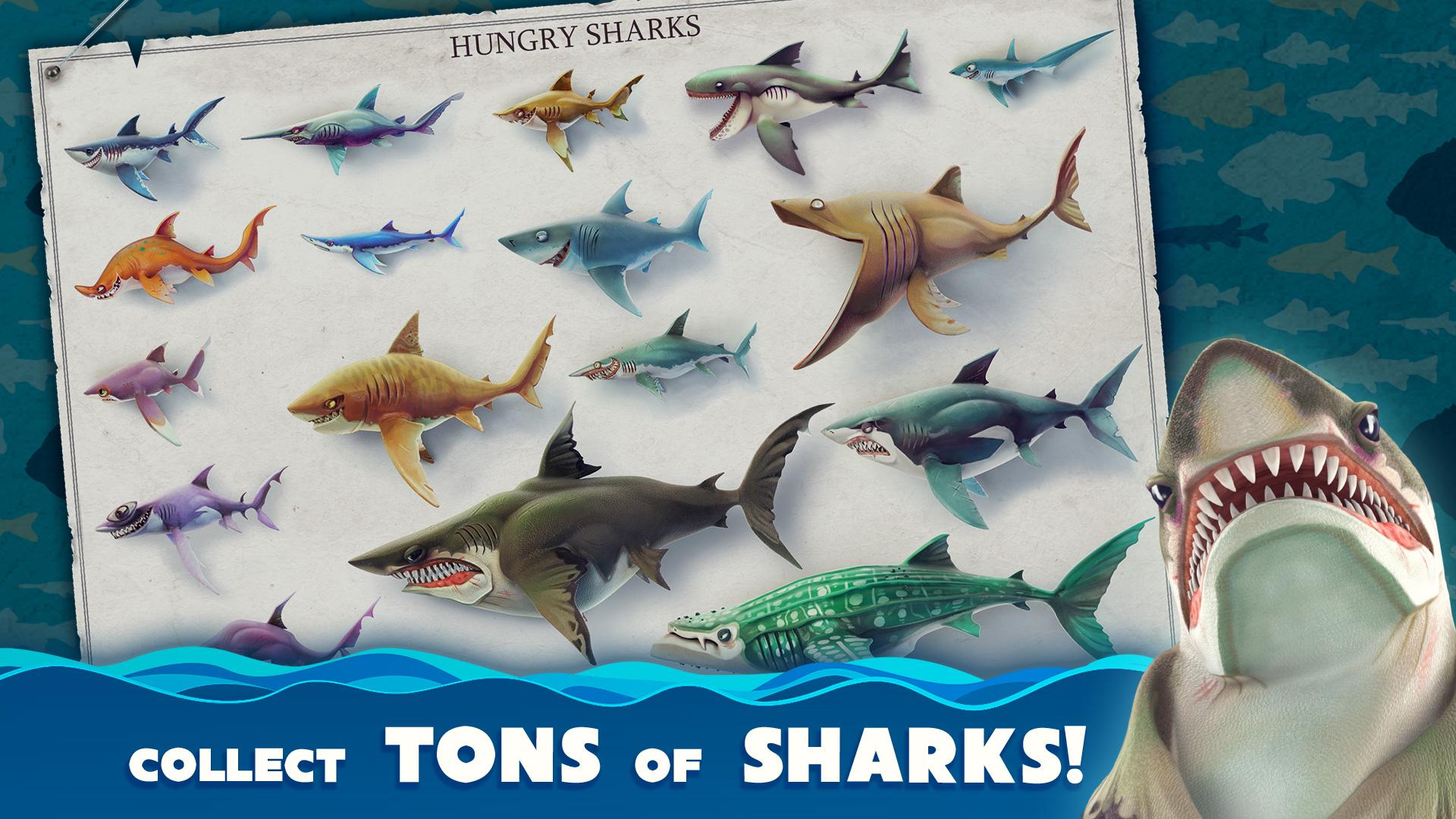 HungrySharkWorld